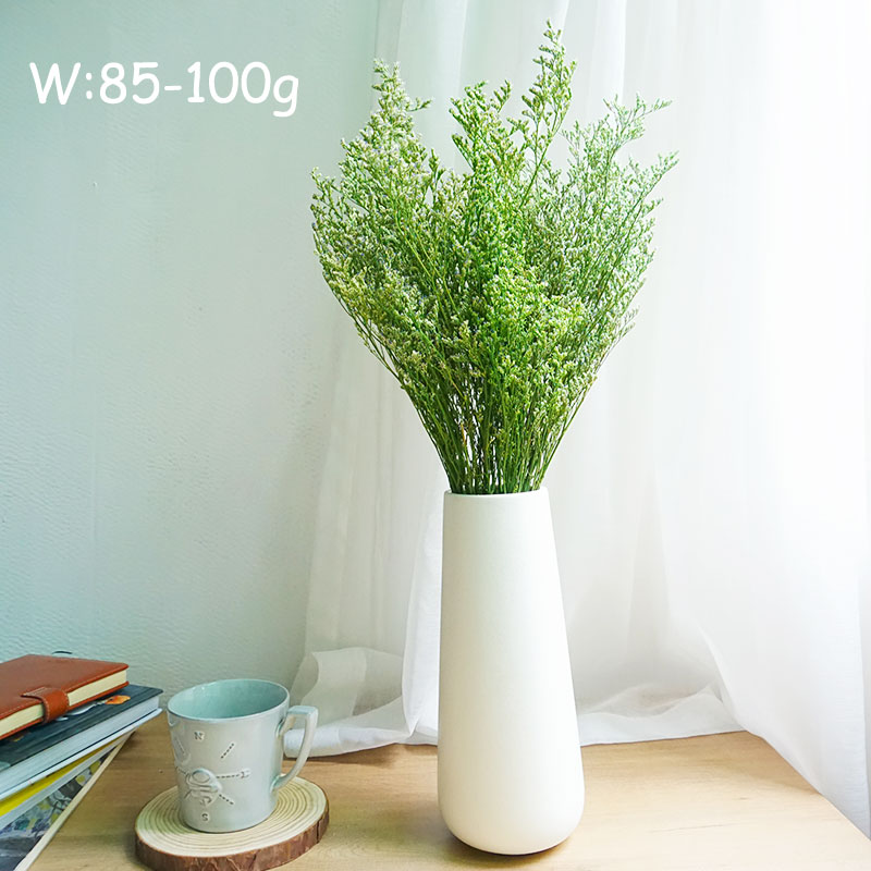 70 جرام/عشب الحب المحفوظ لعيد  - مراجعة Dried Flower Bulk وسعره