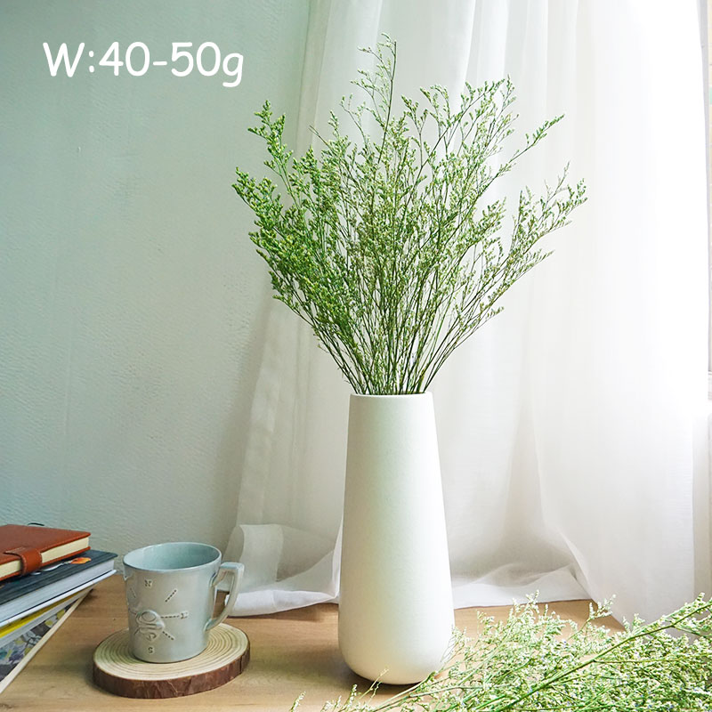 70 جرام/عشب الحب المحفوظ لعيد  - مراجعة Dried Flower Bulk وسعره